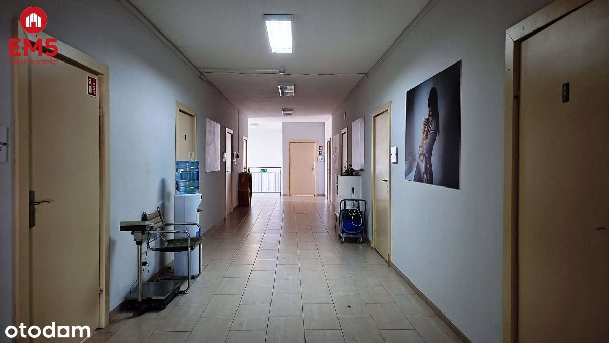 Lokal biurowy 300 m2 na wynajem - Pełny obrazek: 5/9