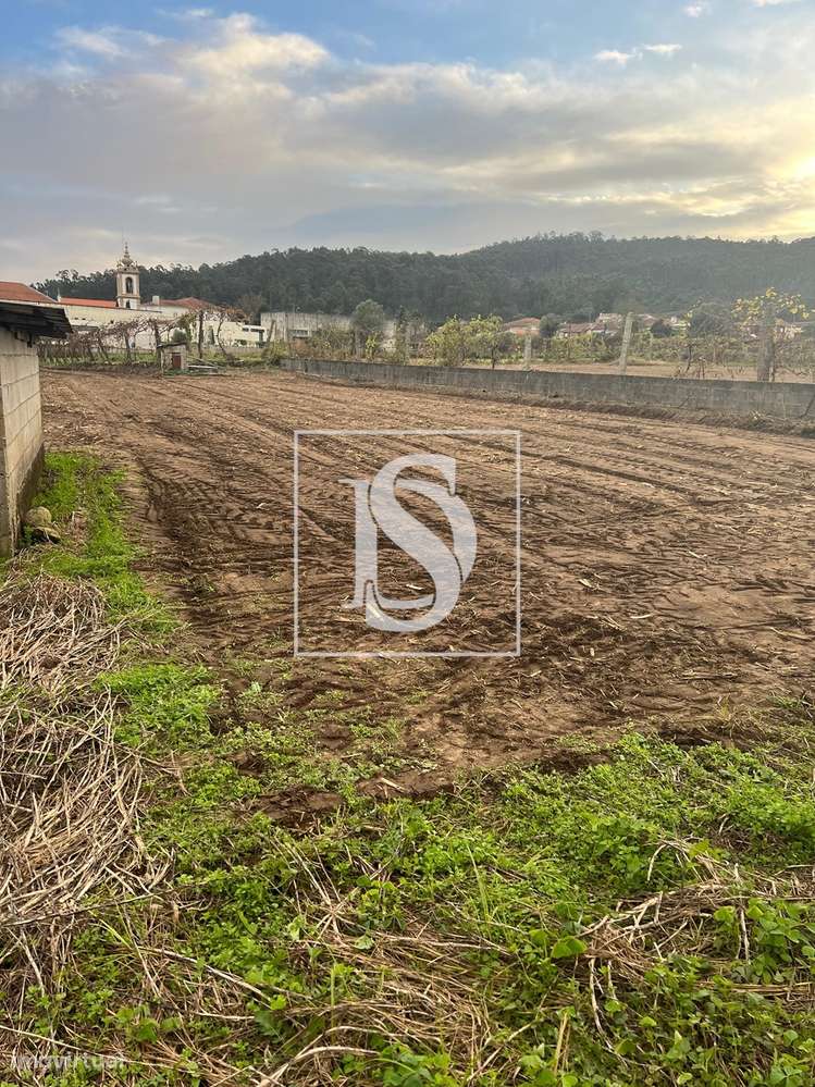 Moradia em Pedra / Casa de Campo inserida num lote de 6000m2-13