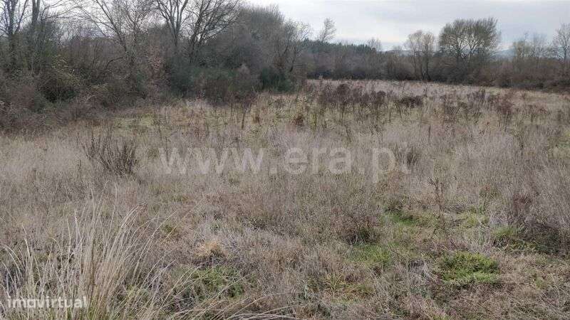 Terreno Rústico / Fundão, Pêro Viseu - Grande imagem: 3/6