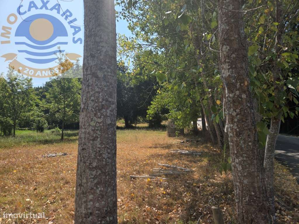 Terreno - Grande imagem: 2/19