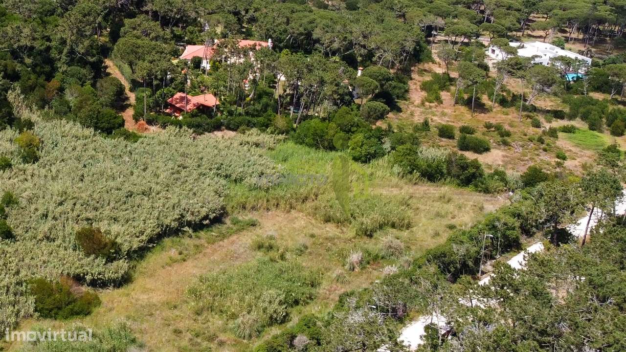 Terreno Rustico com 3.000m2 em Colares-13