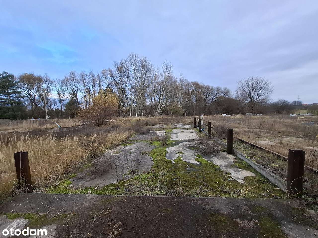 hala produkcyjna z budynkiem administracyjno - biurowym, Wągrowiec-14