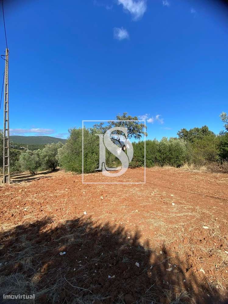 Terreno com Edifício Armazém – Charneca, Vila Morena (Alcanena)-5