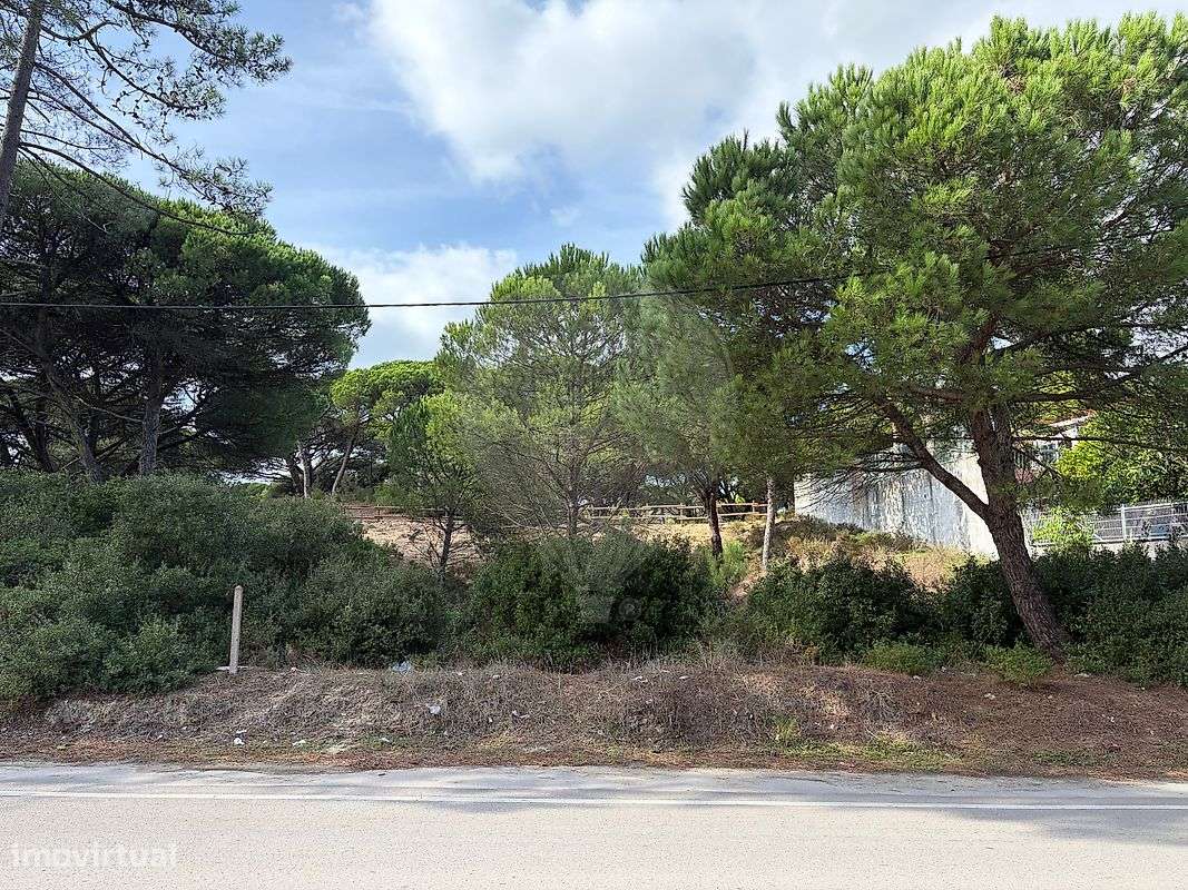 Terreno  para venda-5