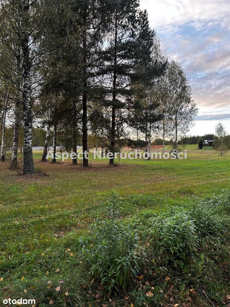 Lipowy Most 3200m2 działka budowlana z WZ - Pełny obrazek: 5/12