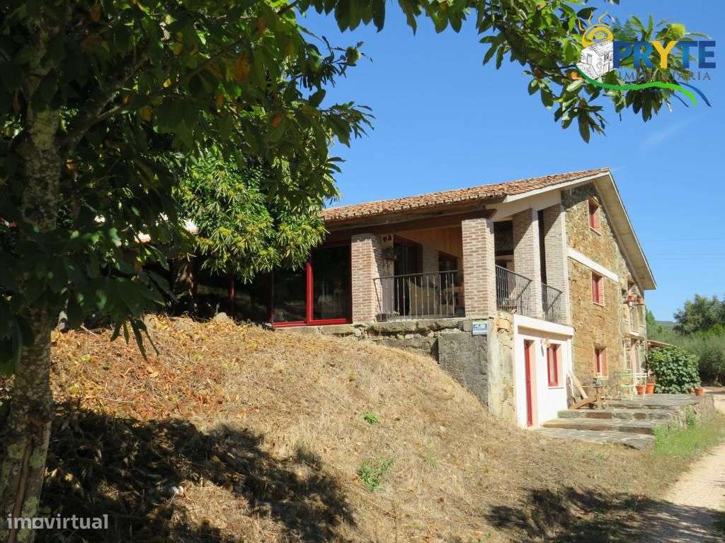 Quinta de 1,6 ha situada muito próxima da Vila da Sertã - Grande imagem: 3/60