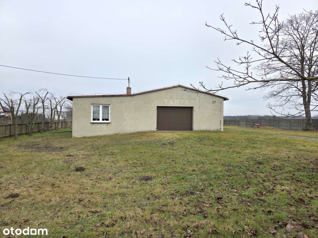 Tartak / hala przy DK486 – świetna lokalizacja! - Pełny obrazek: 2/7