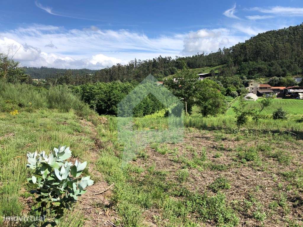 Terreno em Cossourado - Grande imagem: 4/53