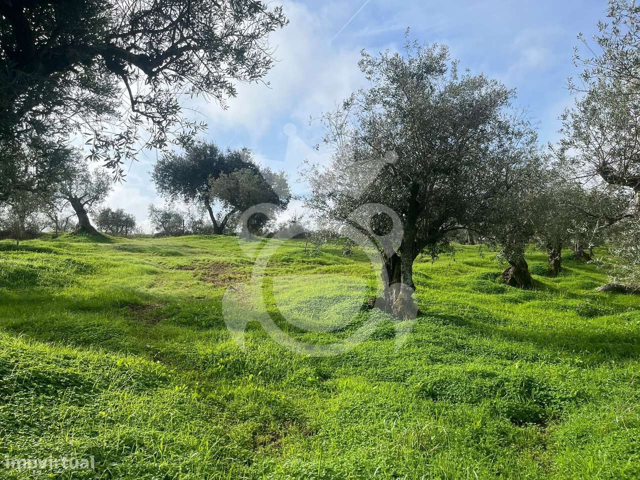 Terreno à venda – 8.500 m² em Alqueva - Grande imagem: 5/21