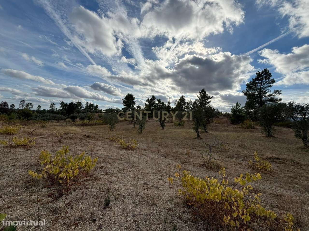 Terreno Rústico em Freixial e Juncal do Campo, Castelo Branco - Grande imagem: 4/12
