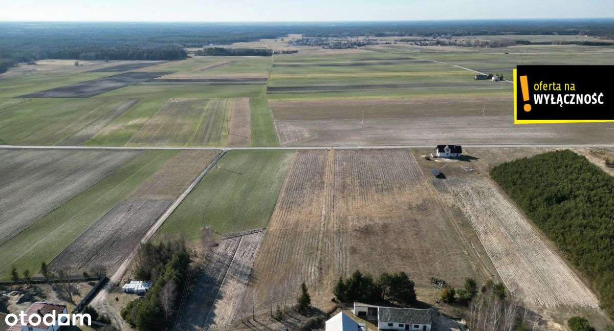 Działka budowlana ponad 1,5 Ha -Ludynia - Pełny obrazek: 5/5