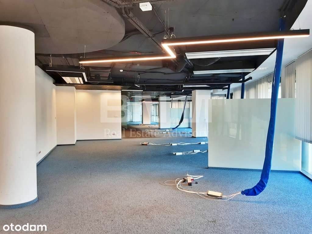 Prestiżowy lokal dla dużej firmy - Pełny obrazek: 3/13