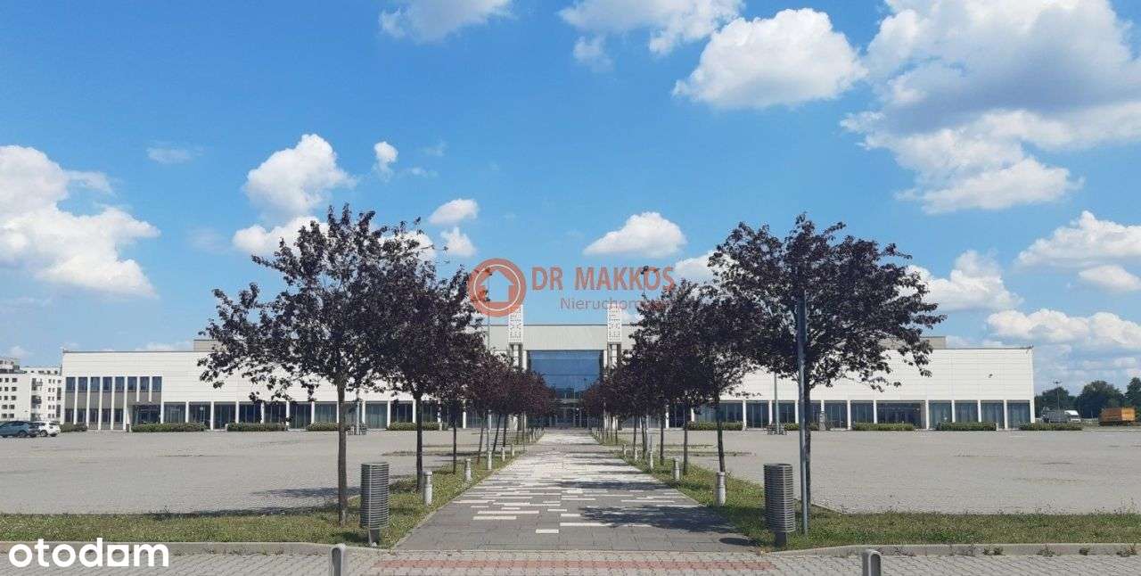 3-pokojowe mieszkanie Wyjątkowa Cena!-1