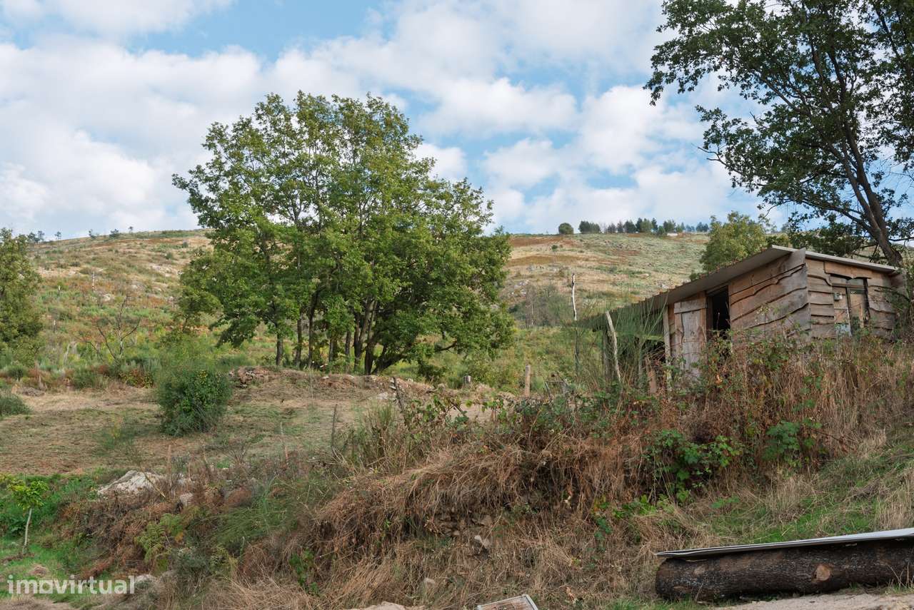 Quinta T2 Venda em Linhares,Celorico da Beira-19