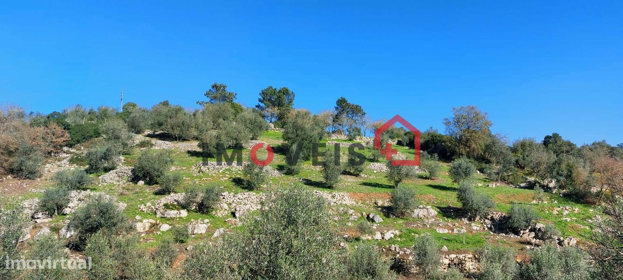 Terreno Agrícola com boa exposição solar