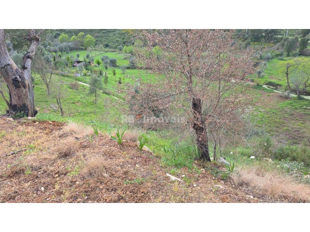 Casa de campo com mais de 1 hectare de terreno - Quebrada de Cima, ...-15