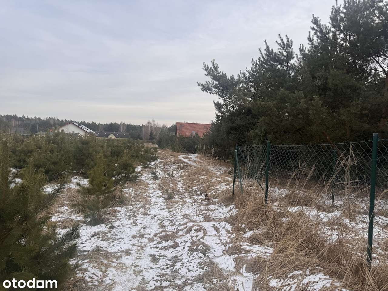 Wierzyce/Osiedle Pod Sosnami/P,W,G,K-8