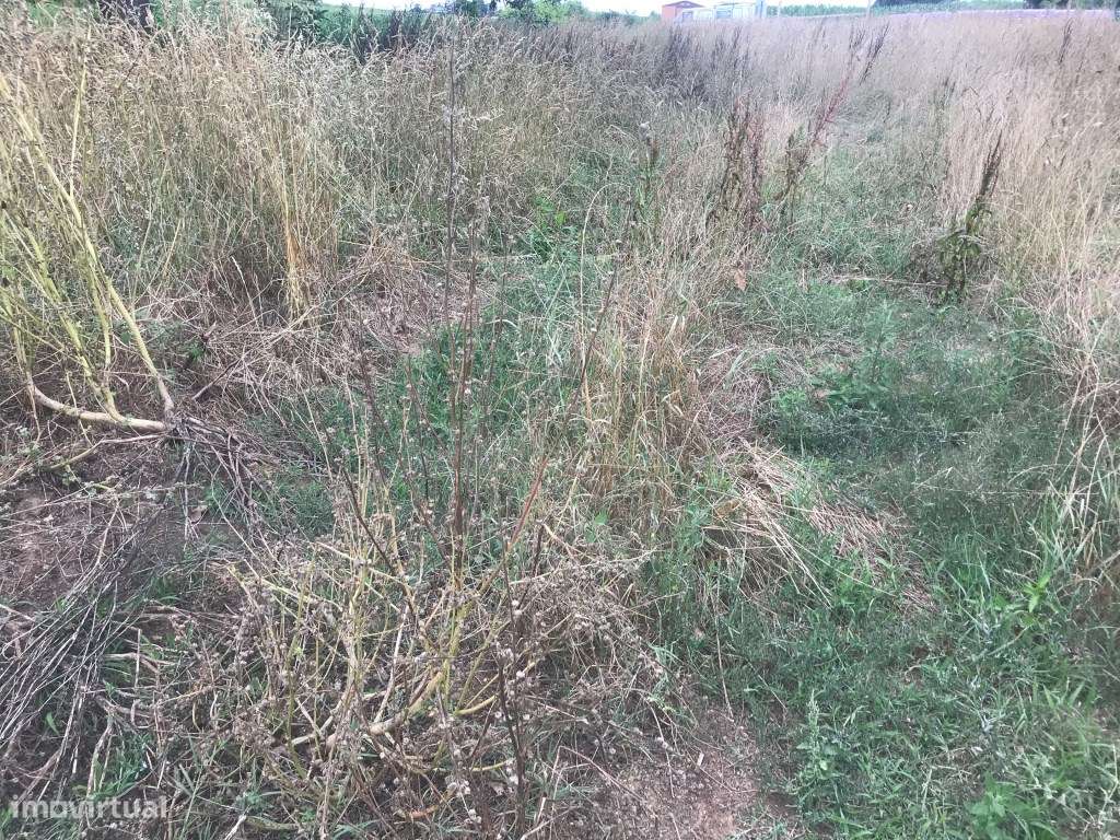 Terreno para construção de Moradia - Estarreja - Salreu - Grande imagem: 4/6