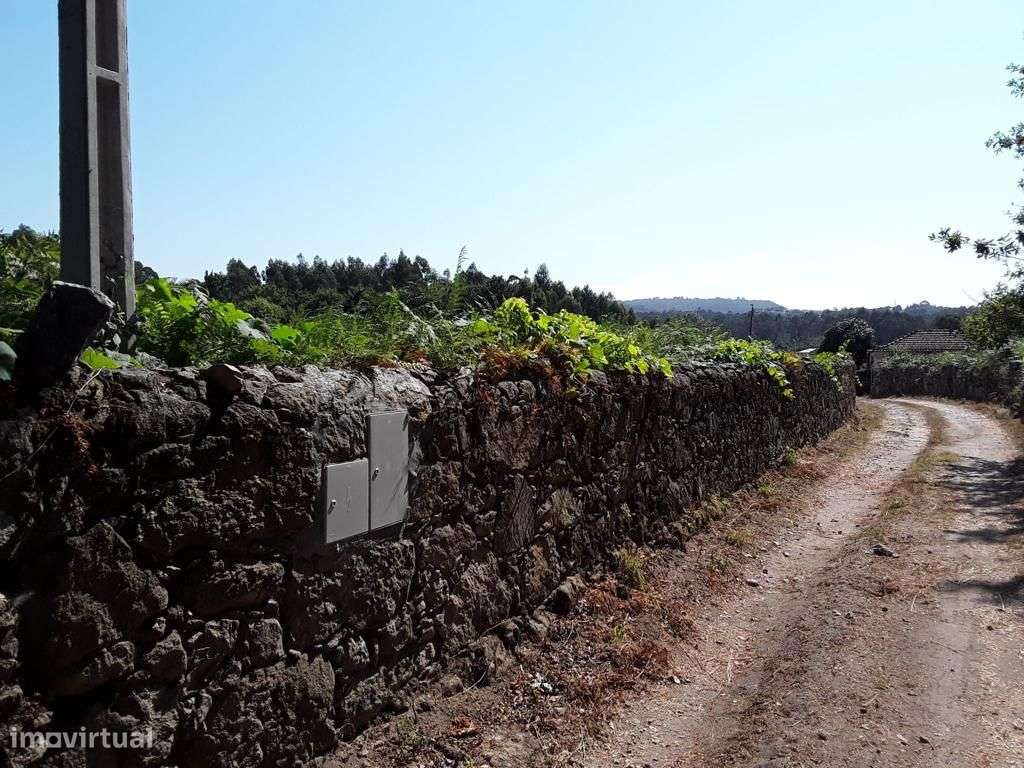 Grande Terreno para Construção - Forjães - Grande imagem: 5/7