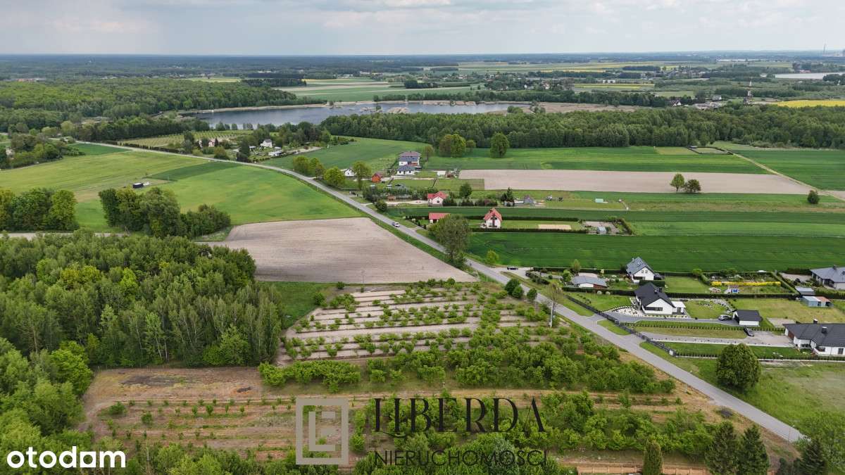 Ludwin - 8600 m2 - 197 800 tys. zł - Pełny obrazek: 4/4
