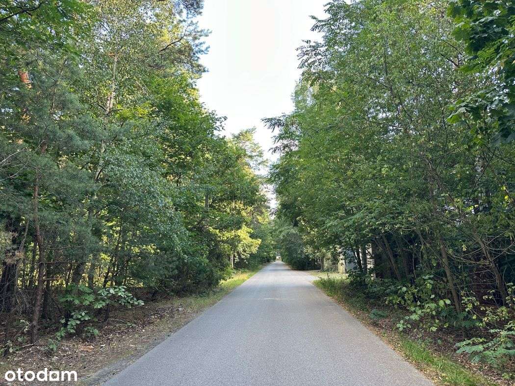 Działka ze starodrzewiem wśród zadbanych domów wolnostojących 0% - Pełny obrazek: 4/4