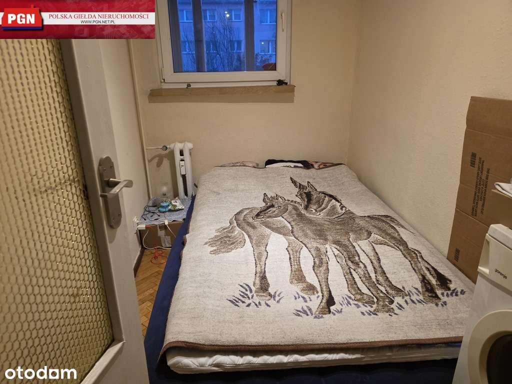 Atrakcyjne mieszkanie w Kłodzku-3