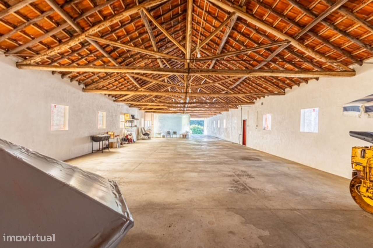 Quintinha com habitação, armazéns e terreno - Rio Maior-20