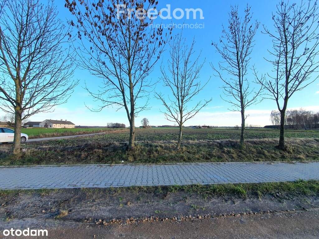 Działka 1778 m2 z WZ w Ortelu Królewskim Pierwszym - Pełny obrazek: 3/8