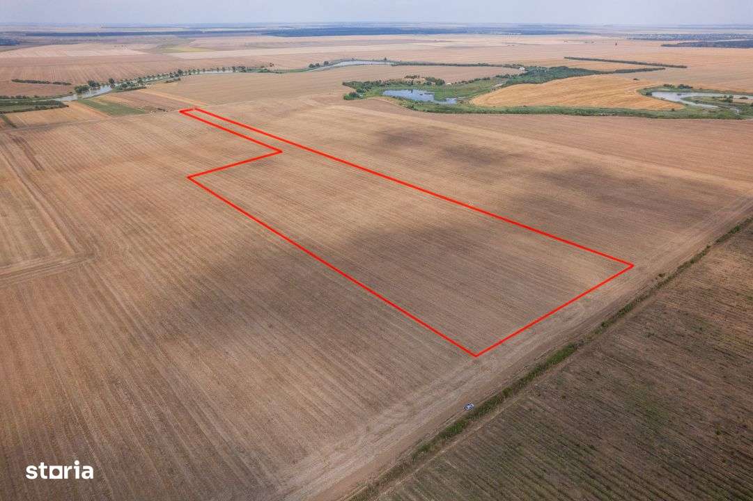 FRUMUSANI - PASAREA, TEREN 14420 MP, FRONT 40 M! - Imagine principală: 2/12