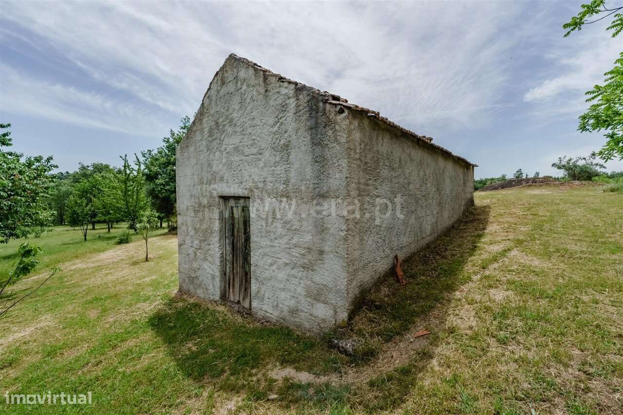 Quinta T4 / Seia, Folhadosa-10