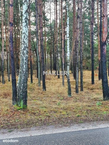 Działka 1660 m2 w urokliwym miejscu Januszkowo