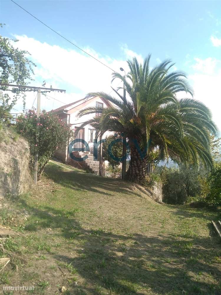 Quinta em Gémeos - Celorico de Basto - Grande imagem: 2/8