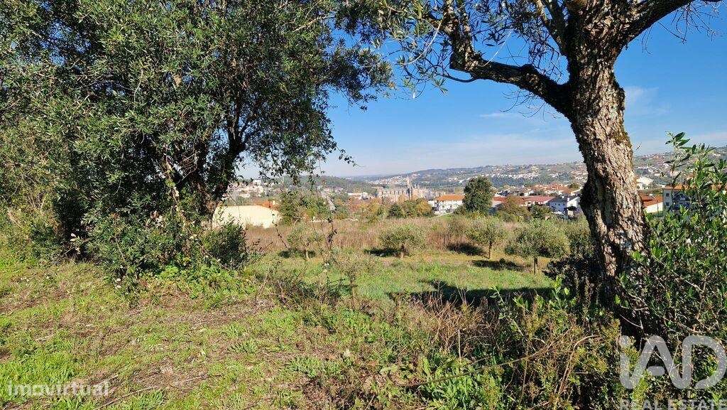Terreno para construção em Batalha - Grande imagem: 5/25