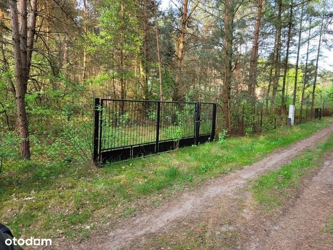 Sprzedam działkę rekreacyjną Borków gm. Kołbiel