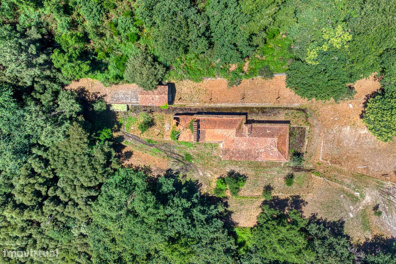QUINTA NO VALE DO DOURO - 2 CASAS EM PEDRA, 11 HECTARES DE TERRENO-21