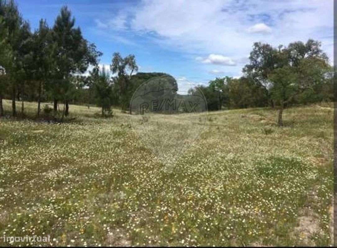 Quinta T2 para venda-9