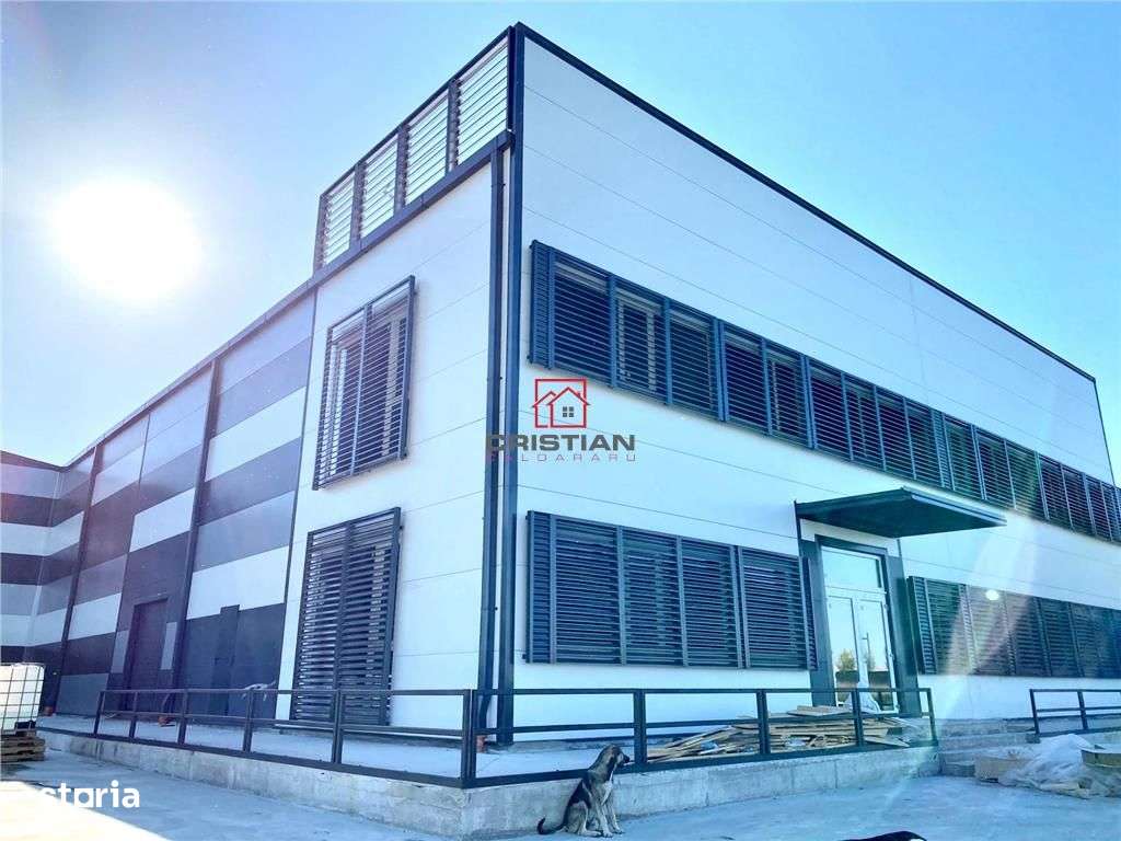 Vanzare depozithalaspatiu industrial Otopeni - Centura, Ilfov - Imagine principală: 4/6