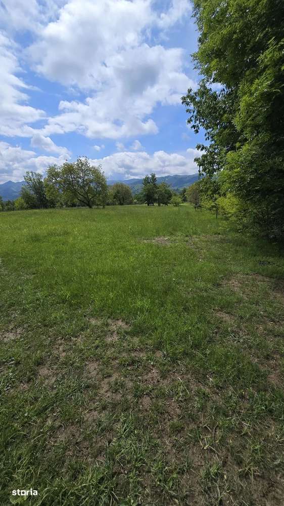 teren intravilan - 2 minute de centru Prundu Bargaului - 26 parcele-2