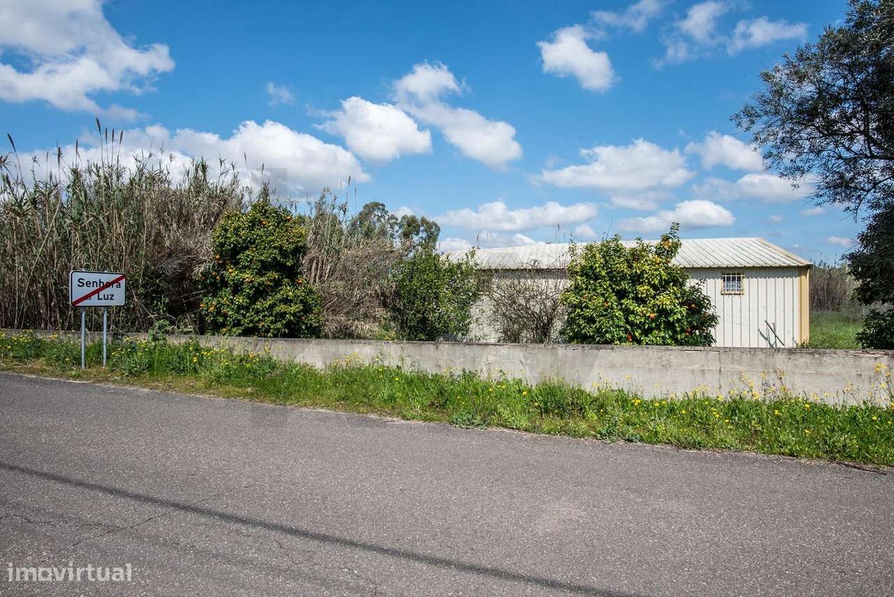 Terreno Rústico 7.000m2, Abrançalha de Cima, Senhora da Luz, Abrantes - Grande imagem: 3/15