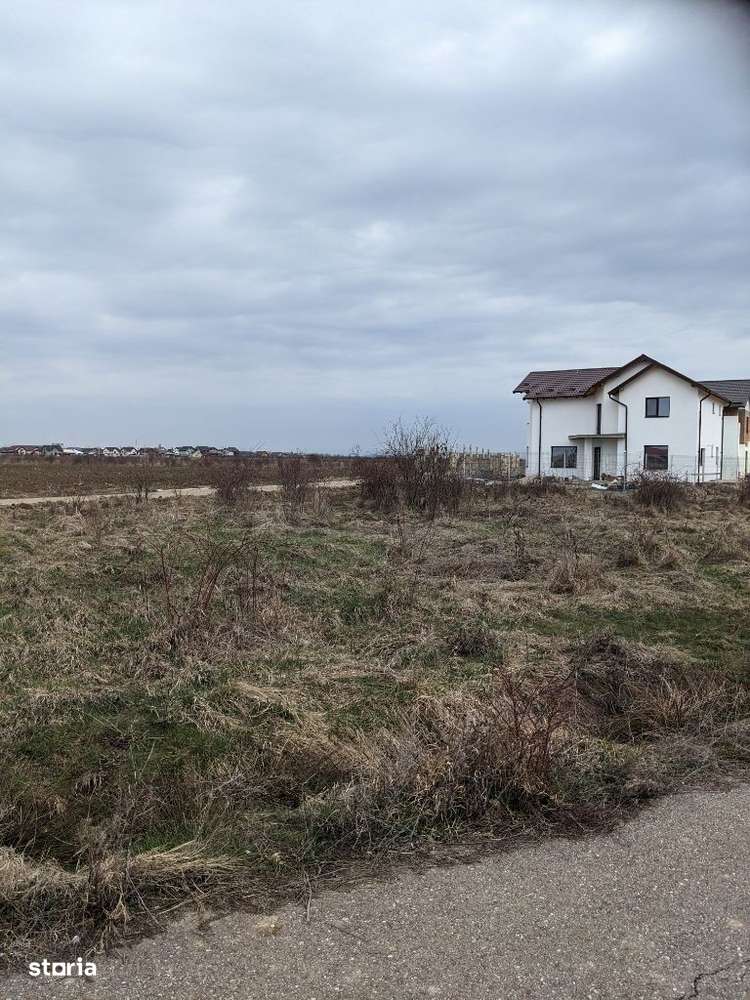 Teren 1000 mp deschidere 40 ml la asfalt ,Albota Morlovani zona vile,-8