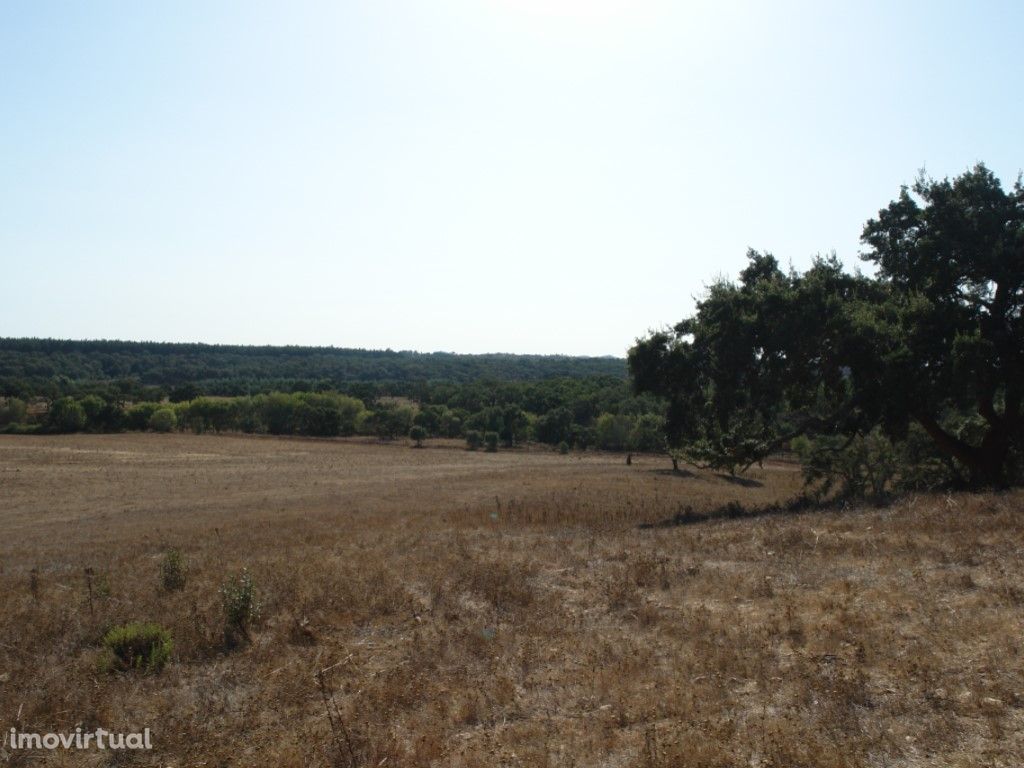 Herdade de 158 Ha no Cercal do Alentejo