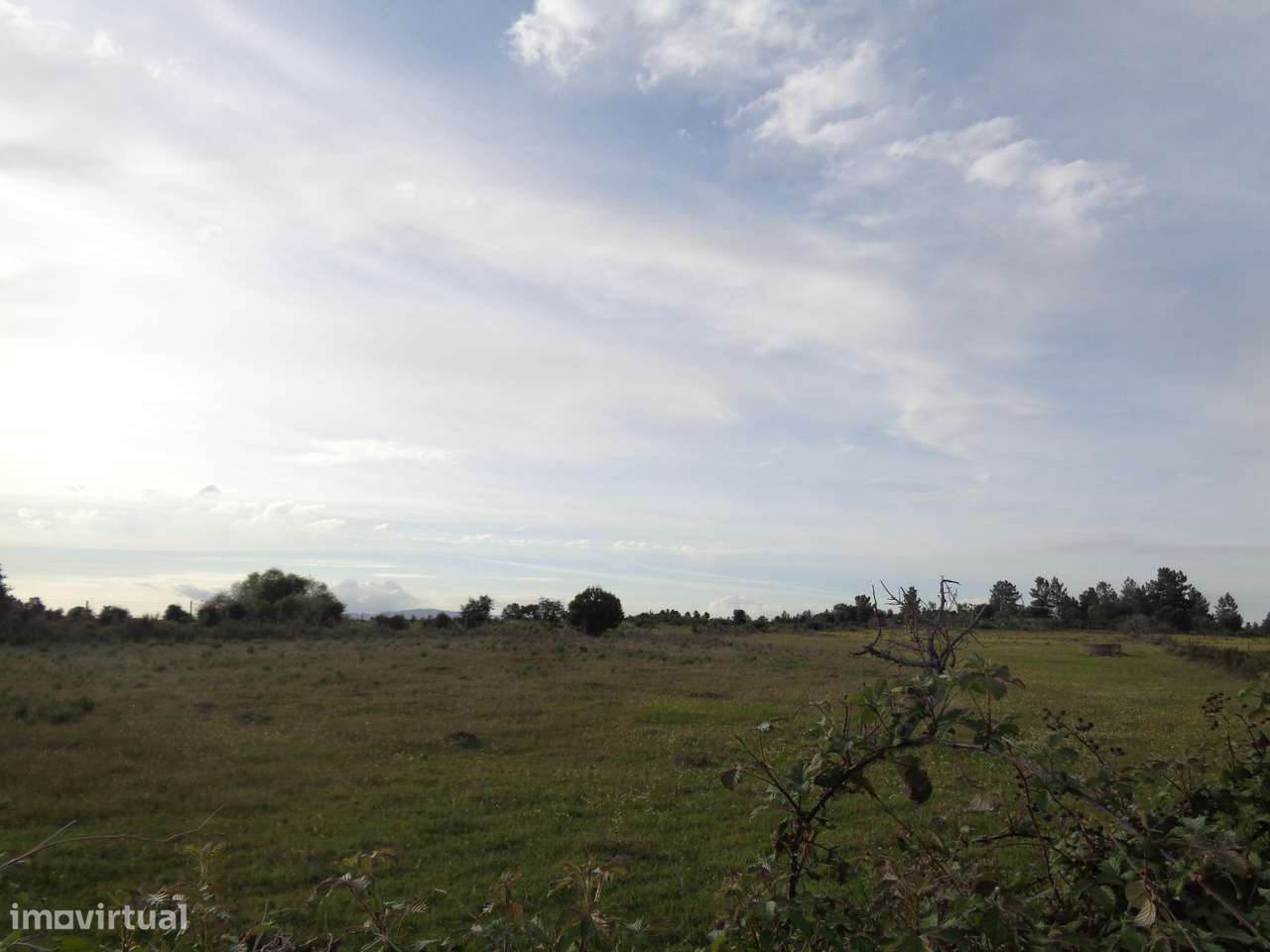 Terreno em Idanha-a-Nova, São Miguel de Acha - Grande imagem: 5/12