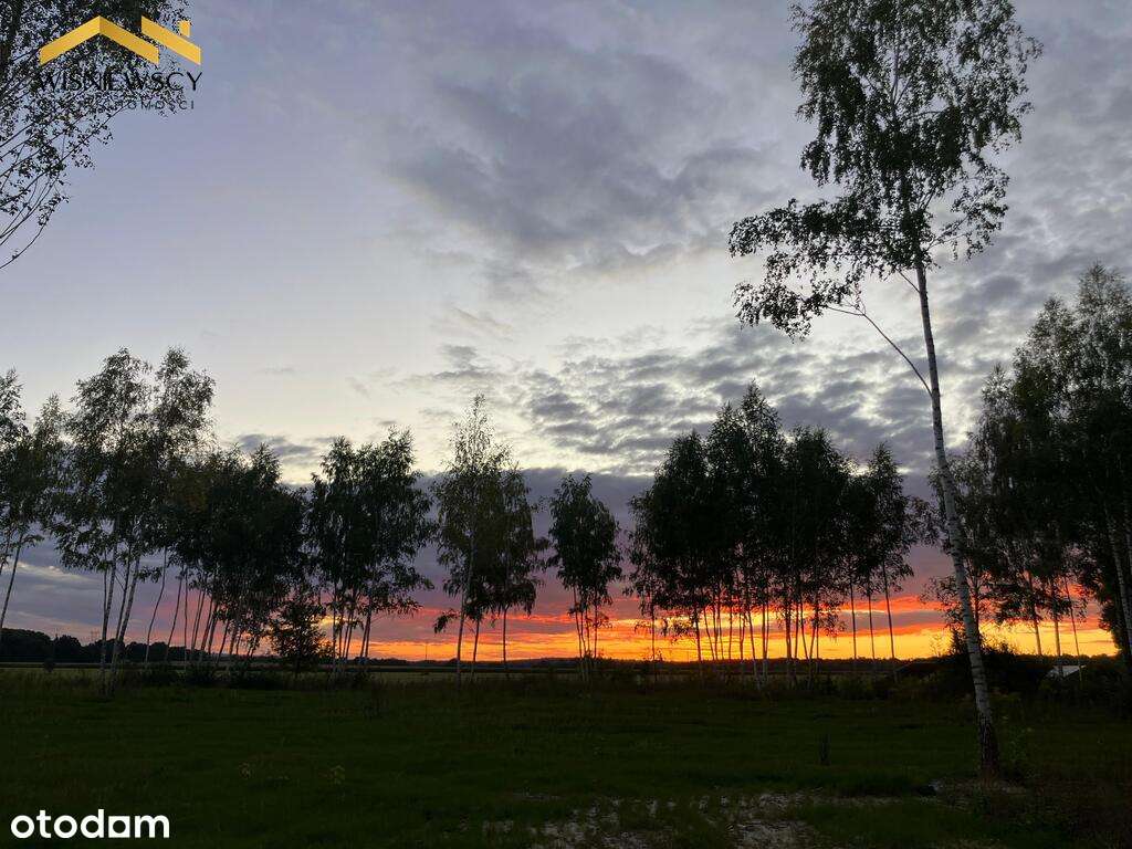 Duża działka z warunkami – Dawidy, 5306 m² - Pełny obrazek: 5/15