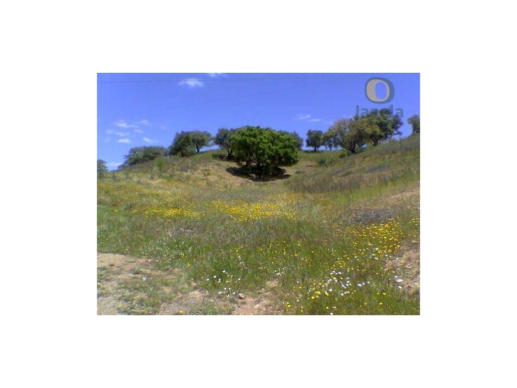 Terreno Misto com viabilidade para turismo rural - Grande imagem: 4/10