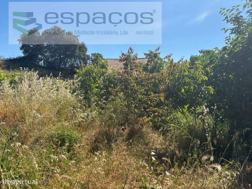 Terreno dentro perímetro urbano - Grande imagem: 4/19