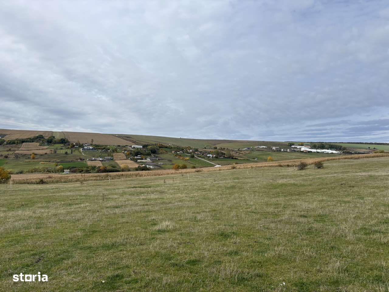 Teren Dealul Fanatelor-1