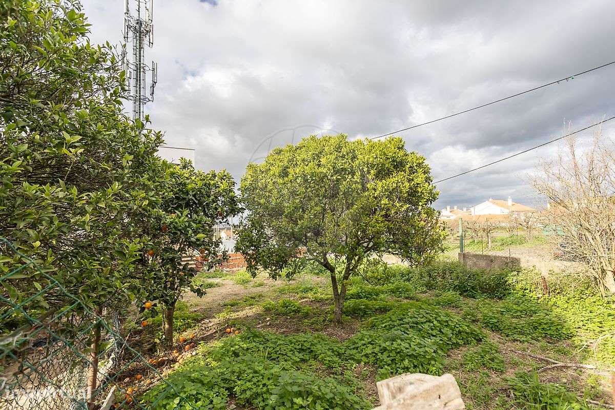 Terreno  para venda - Grande imagem: 4/10