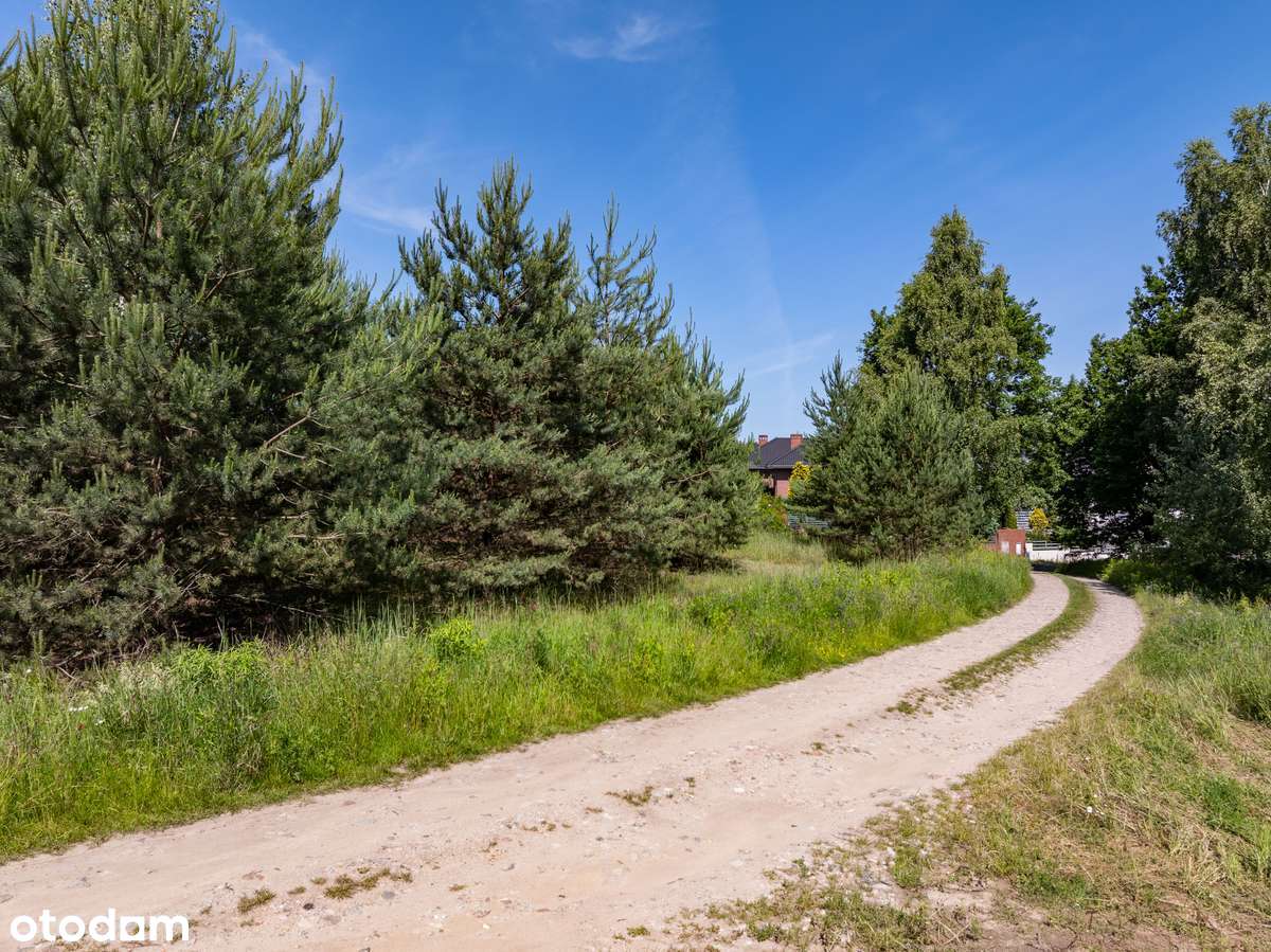 Działka z widokiem na Dolinę Cybiny-7