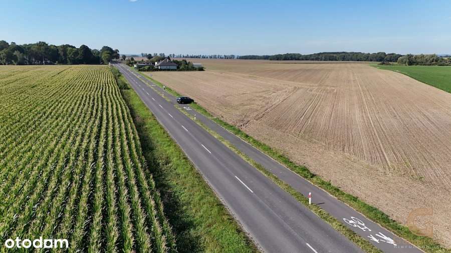 Działka budowlana z WZ ! - Pełny obrazek: 4/6