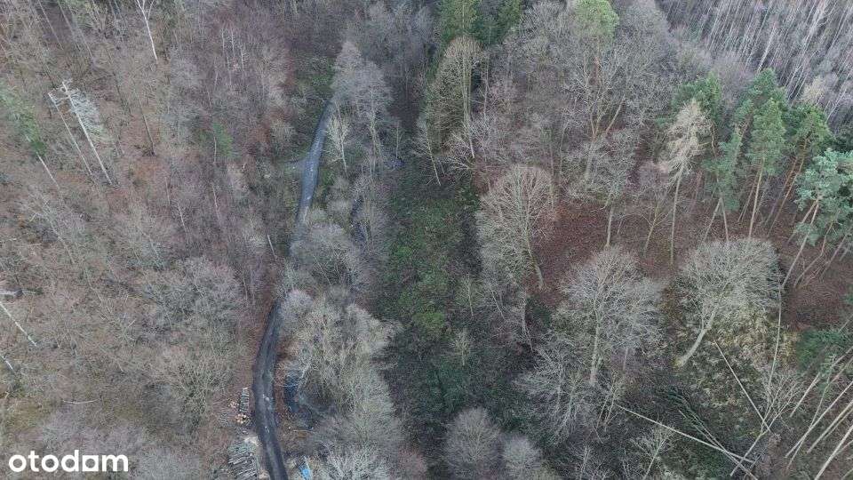 Zadrzewiona działka budowlana w Bardzie - Pełny obrazek: 5/6